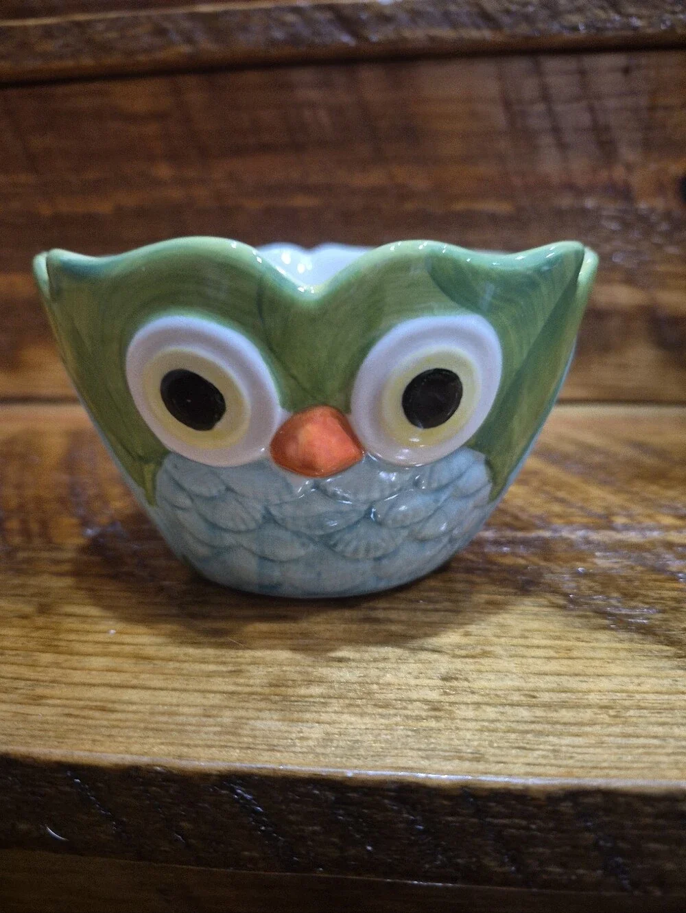 Pier 1 Imports Owl Hand Painted Stoneware Measuring Cups And Spoons Lot